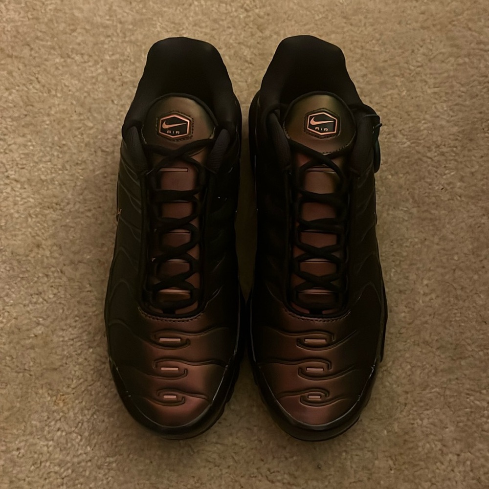 Brand New Nike Air Max Plus OG Scarab (2022)
Size 11/5